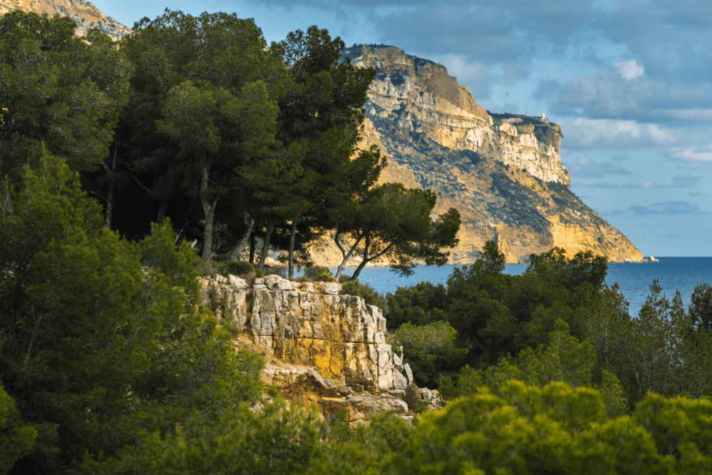 paysage-villa-selestre